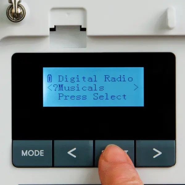 relish radio big button radio DAB